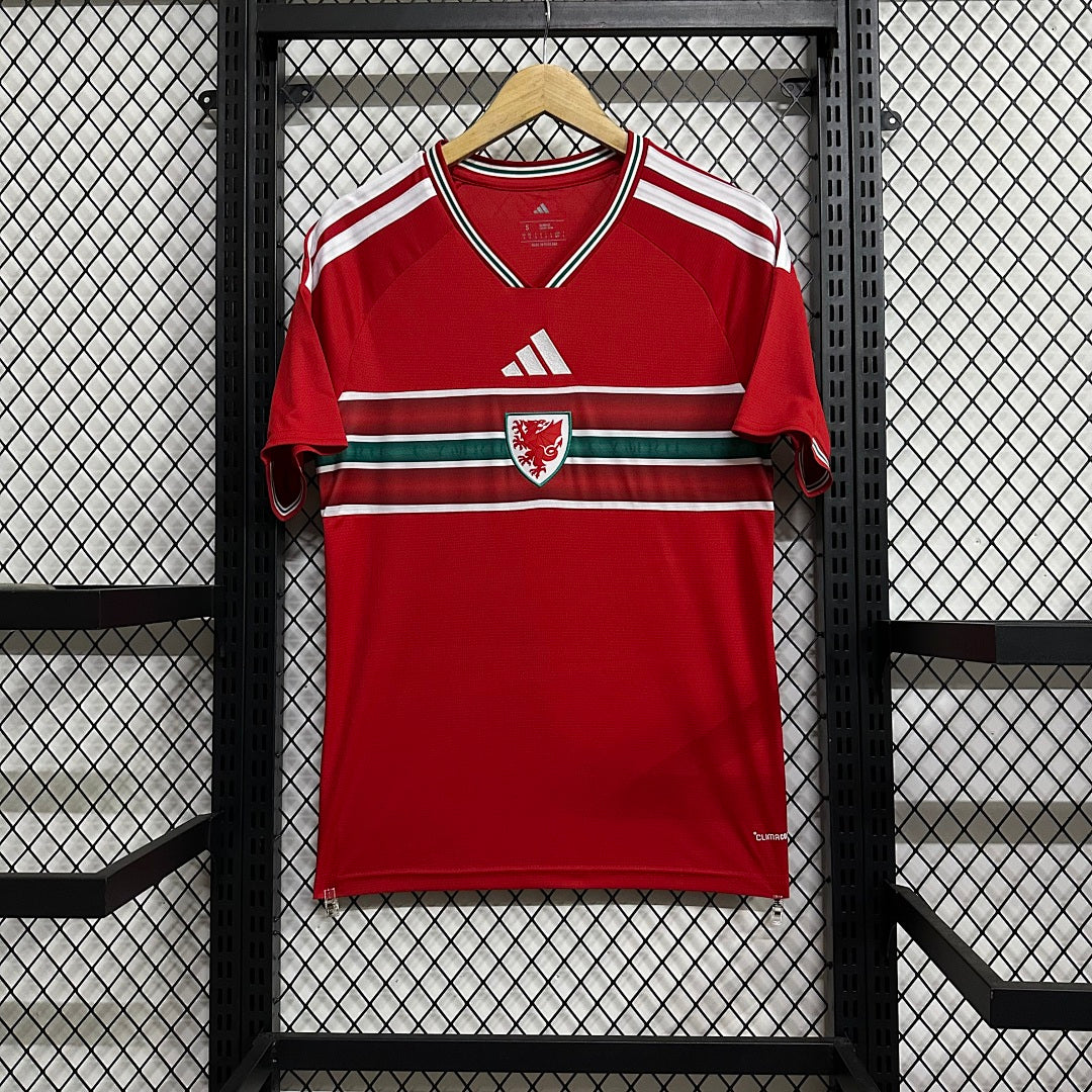 Wales · 2026/27 · Home · Fan · Jersey
